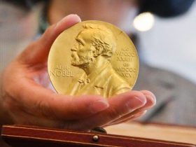پیمان خاکسار: انتخاب‌های نوبل خیلی عجیب و غریب و بی‌منطق است